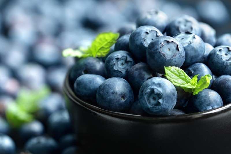 Blueberry antioxidant organic superfood in a bowl concept for he