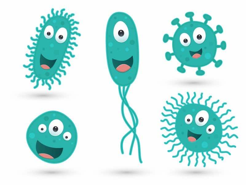 A set of cute green germs / bacteria