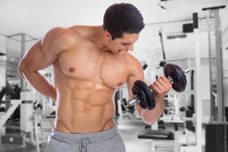 Bodybuilder Bodybuilding Muscles Body Builder Building Gym Power