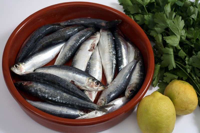 Sardines (pilchards) in a rustic bowl with their heads and innar