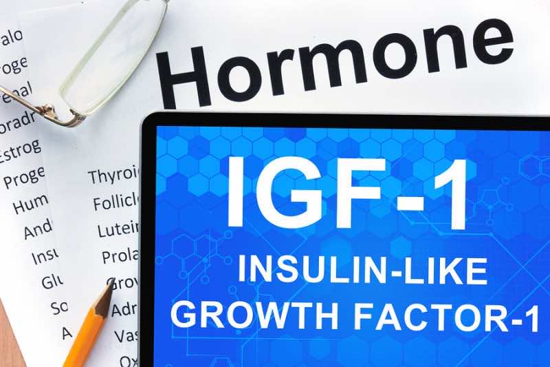 Papers with hormones list and tablet  with words  Insulin-like g