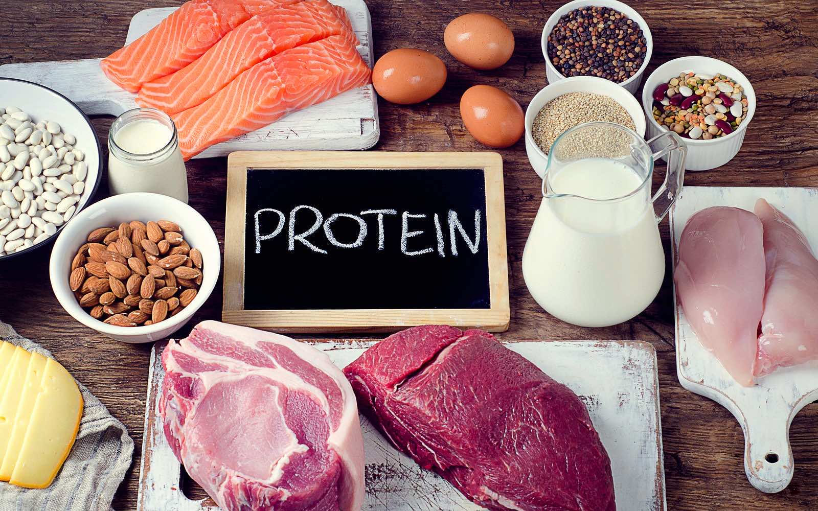 7 Reasons Why YOU Should Eat More Protein Rich Foods – BiOptimizers Blog