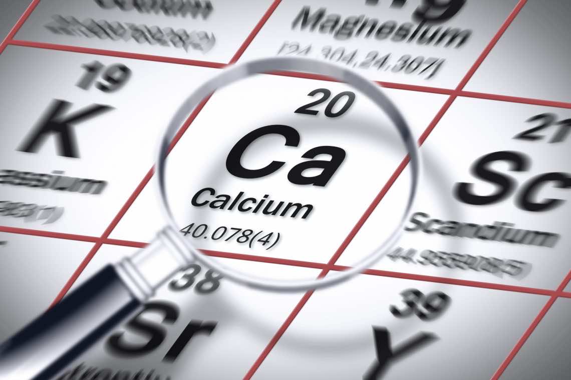 Great Source Of Calcium